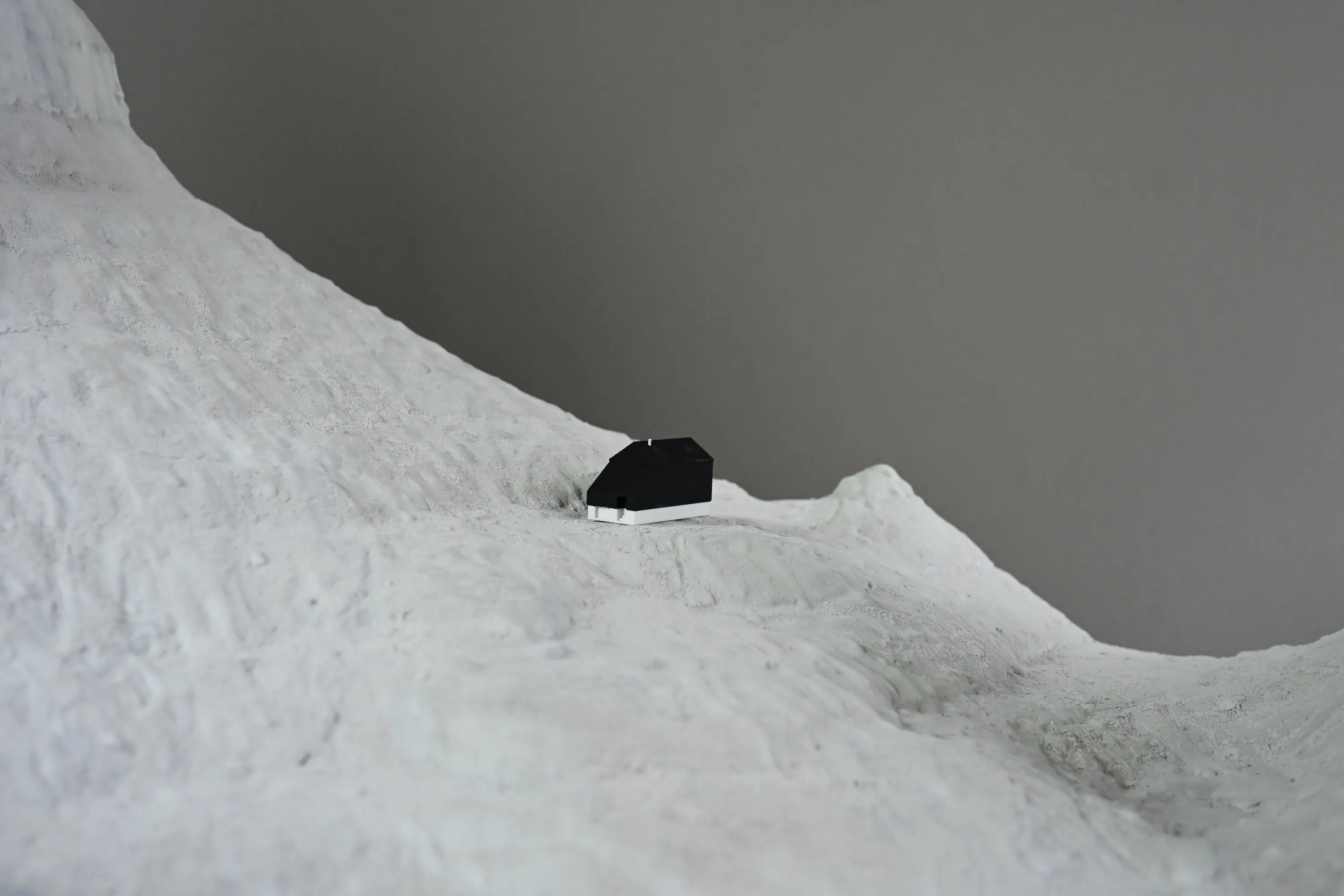 Hut and terrain model